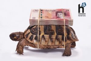 Tortoise Carrying Money