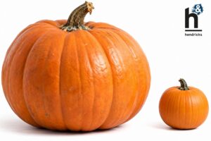 Pumpkins