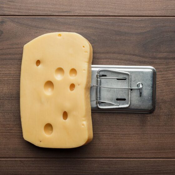 Cheese on mouse trap